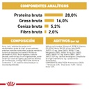 Chihuahua adulto / Royal Canin