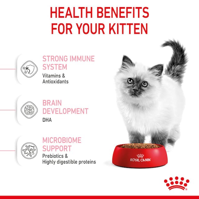 Kitten / Royal Canin Feline