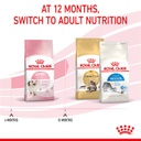 Kitten / Royal Canin Feline