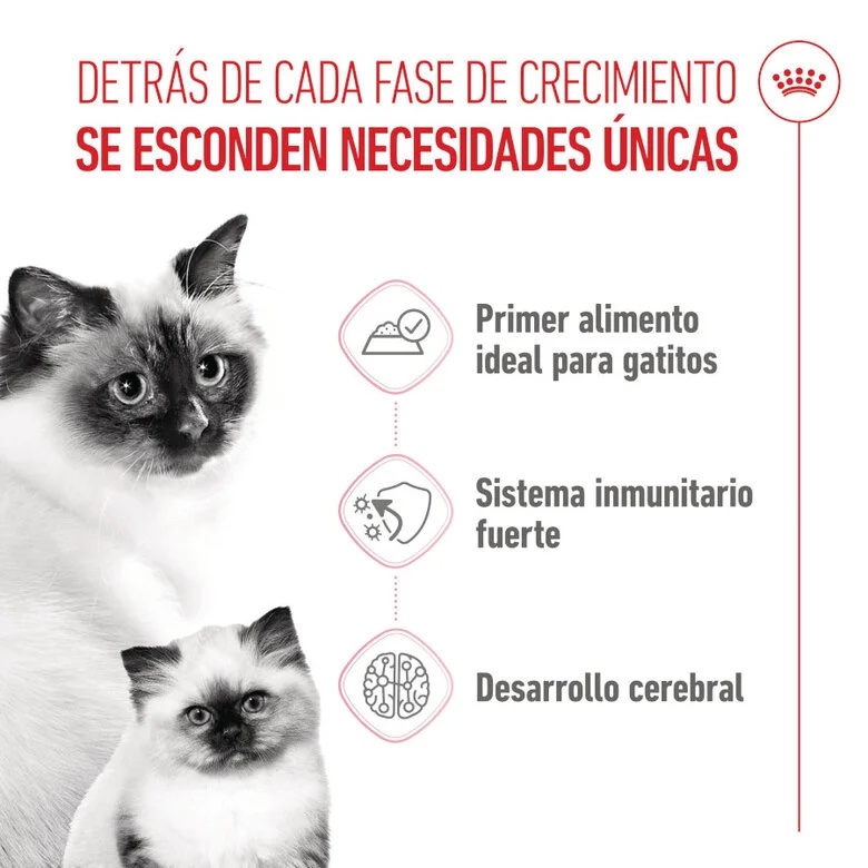 Royal Canin Lata Mother & Babycat 195g.