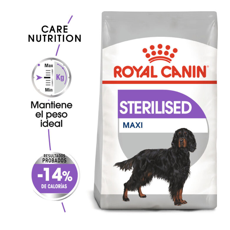 Royal Canin Maxi Sterilized para Perro Adulto