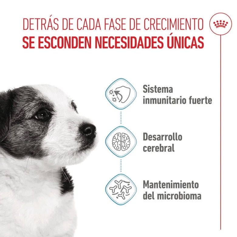 Royal Canin Mini Puppy para Perros