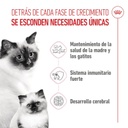 Royal Canin Mother & Babycat para Gatos
