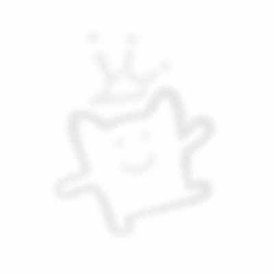 Collar basic Negro Nylon  / Freedog