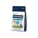 Advance Sterilized Junior para Gatos