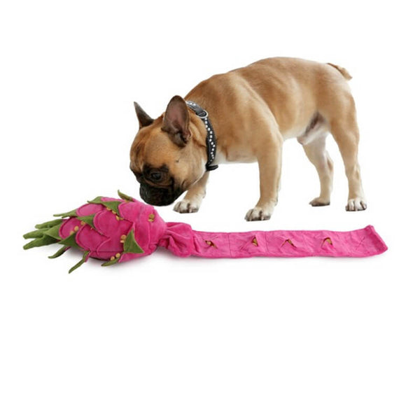 AFP Dig It Dragon Fruit Snufle Toy 25x13x8cm