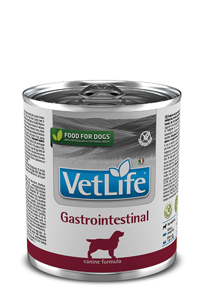 Fm Vet Life Dog Gastrointestinal 300gr