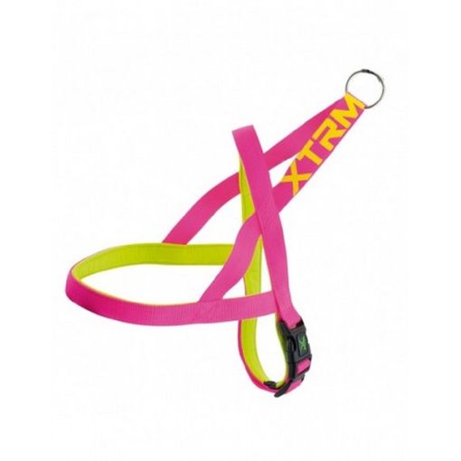 Arnes X-TRM Neon Flash Fucsia 20mm