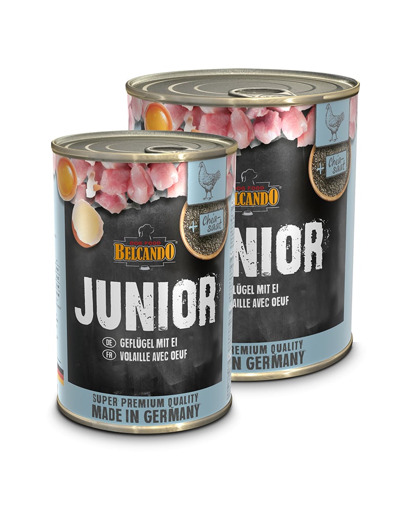 Belcando Junior Ave con Huevo
