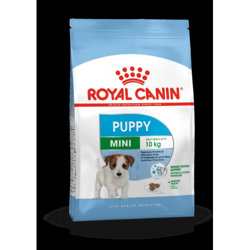 Mini Puppy / Royal Canin canine