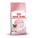 Royal Canin Mother & Babycat para Gatos