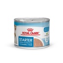 Royal Canin Starter Mommy & Baby Mousse para Perros 195g