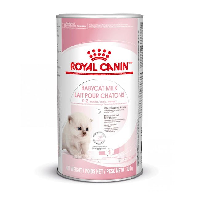 Babycat Milk 300gr. / Royal Canin
